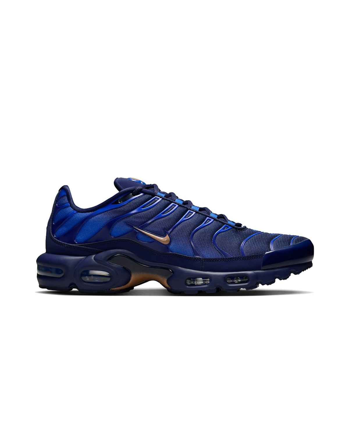 Nike Air Max Plus French Football Federation