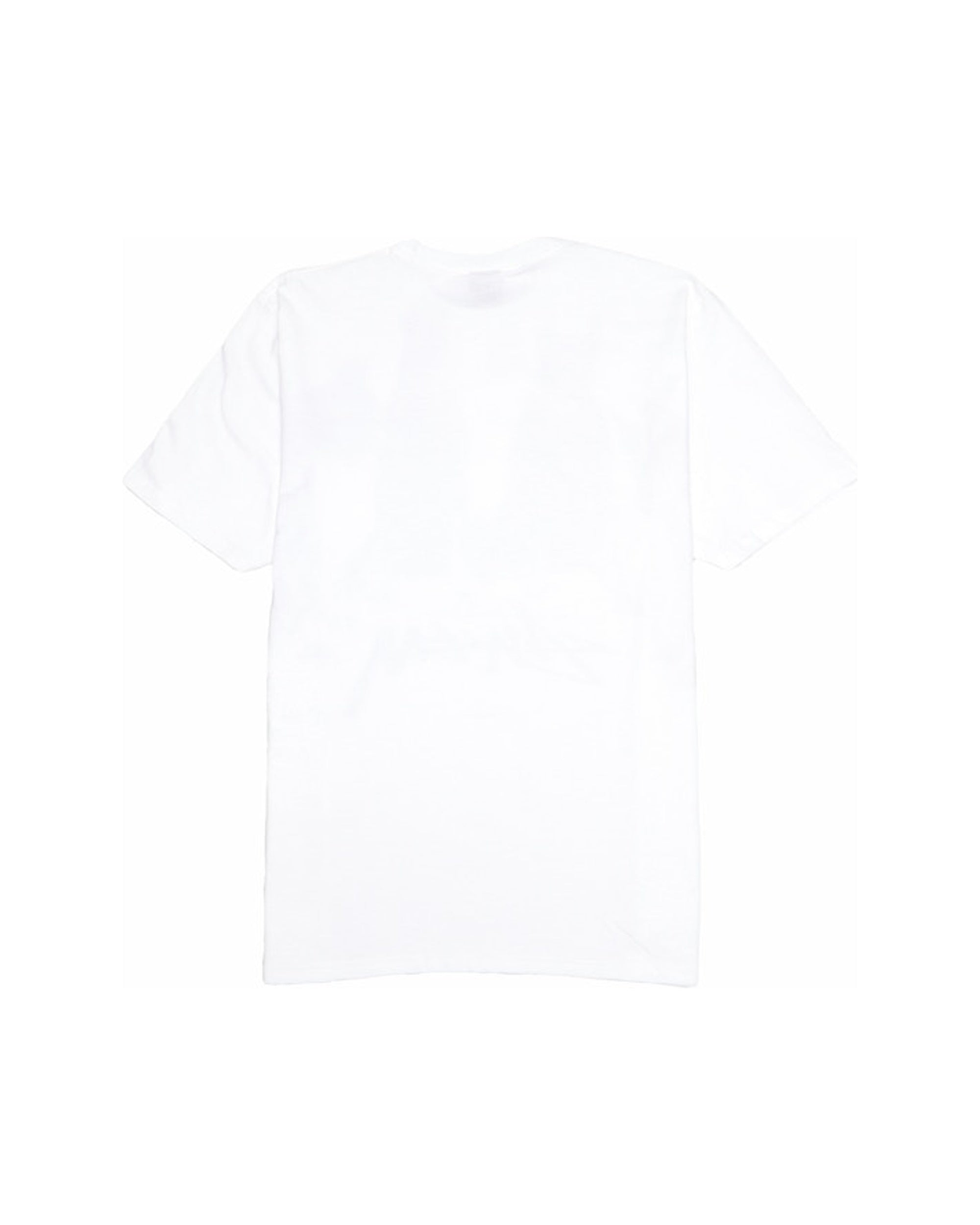 Stussy Doberman Tee White
