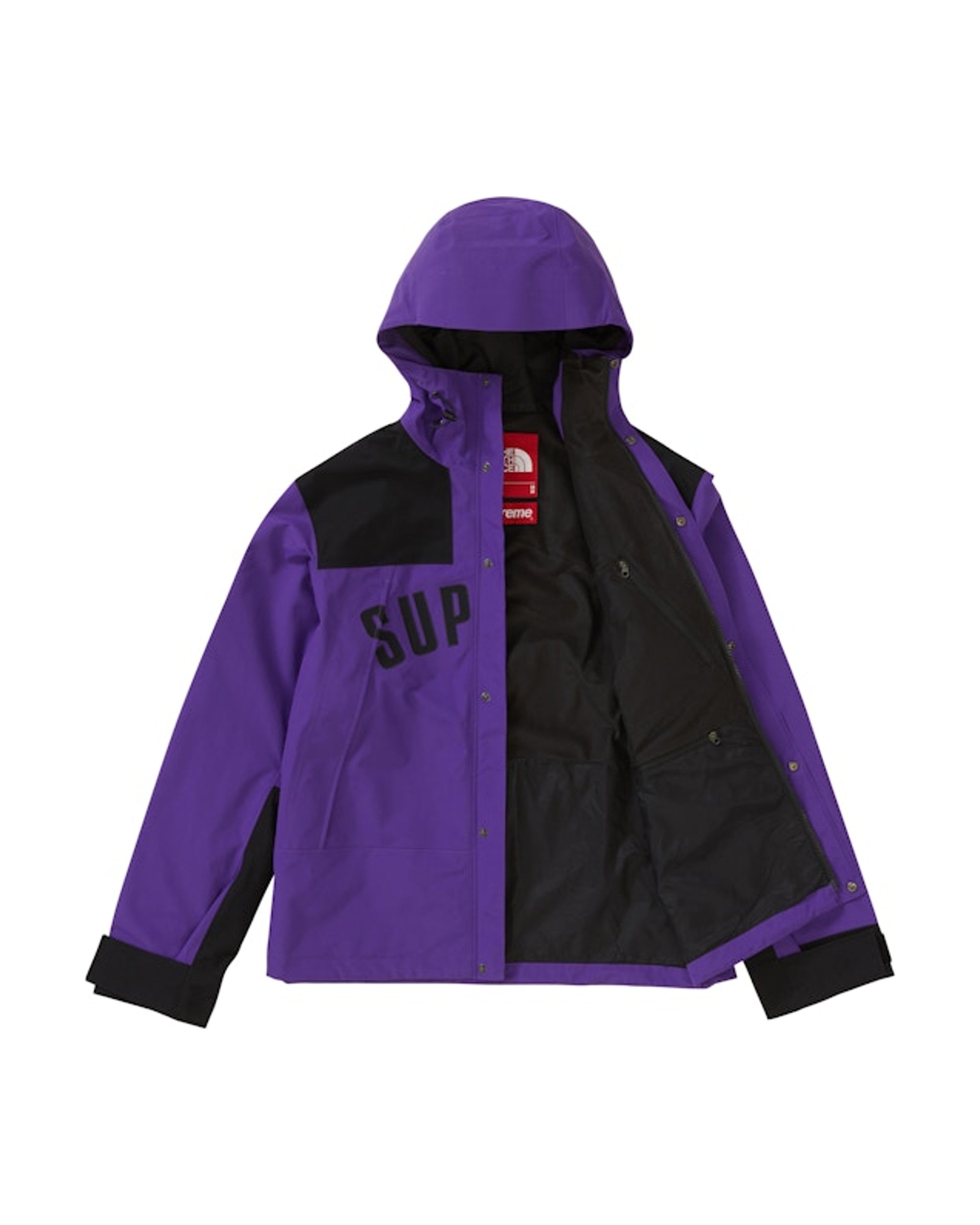 Supreme The North Face Arc Logo Mountain Parka Purple