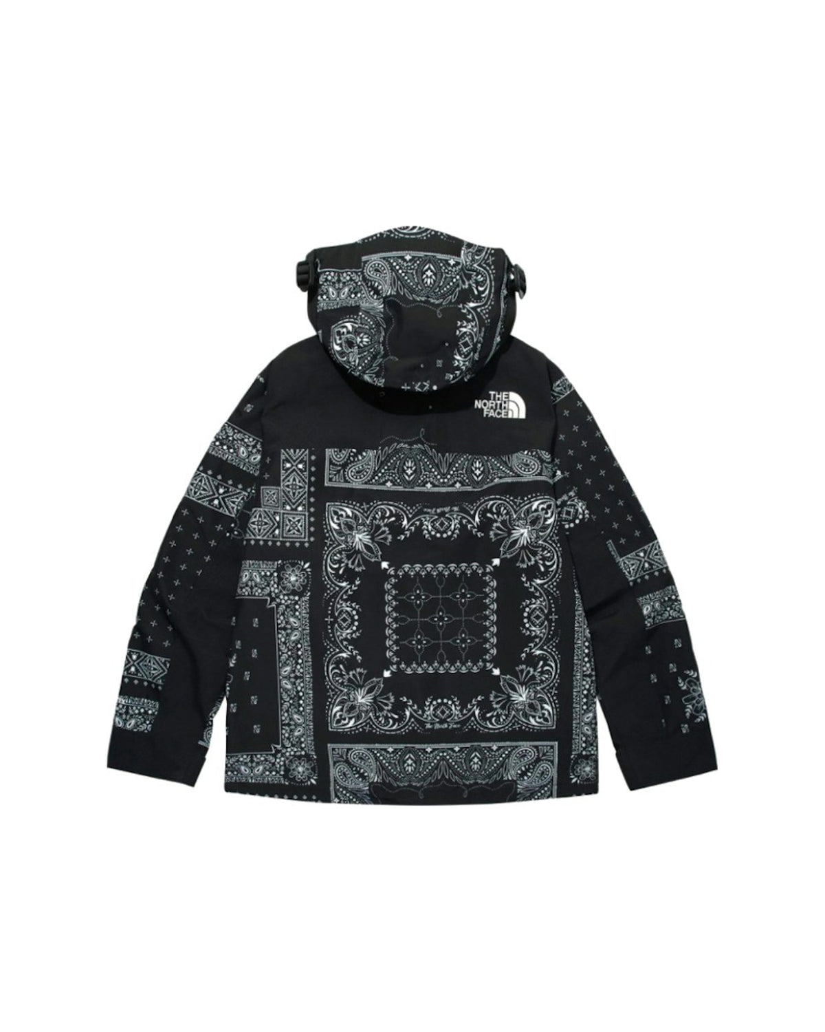 The North Face Novelty GTX Paisley Mountain Jacket Black
