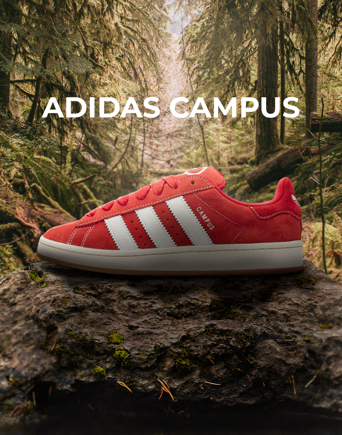 adidas campus kategori