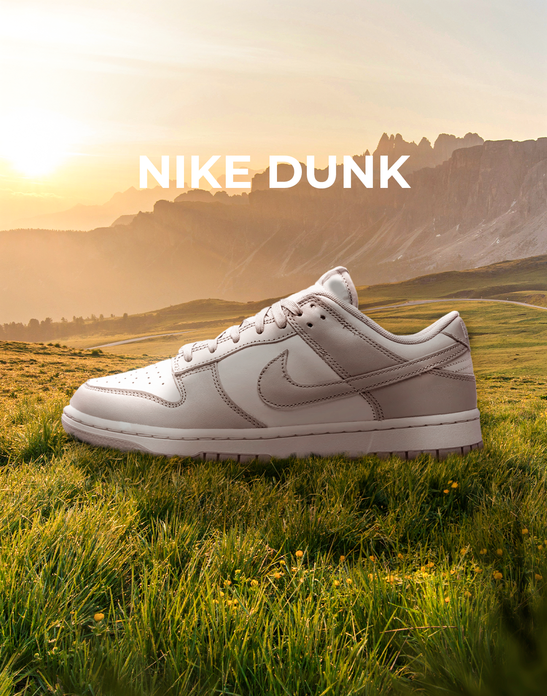 nike dunk kategori