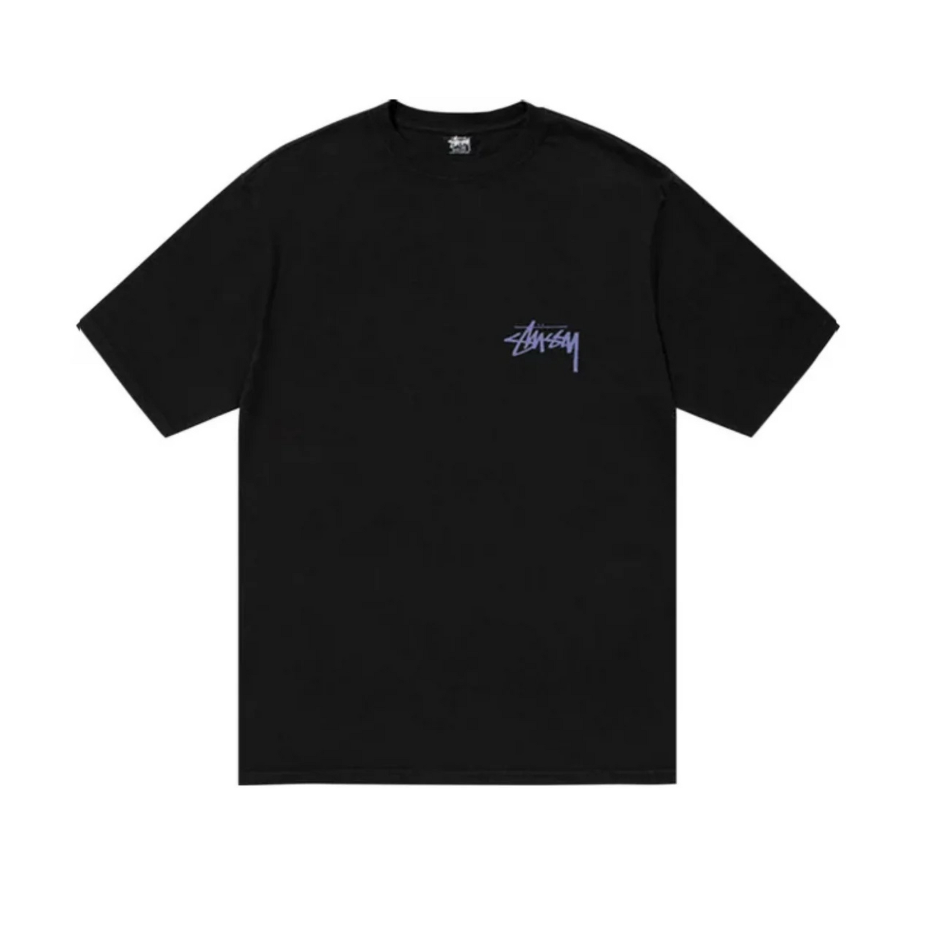 Stüssy t-shirt Skate Posse