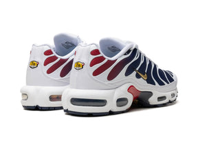 Nike Air Max Plus PSG