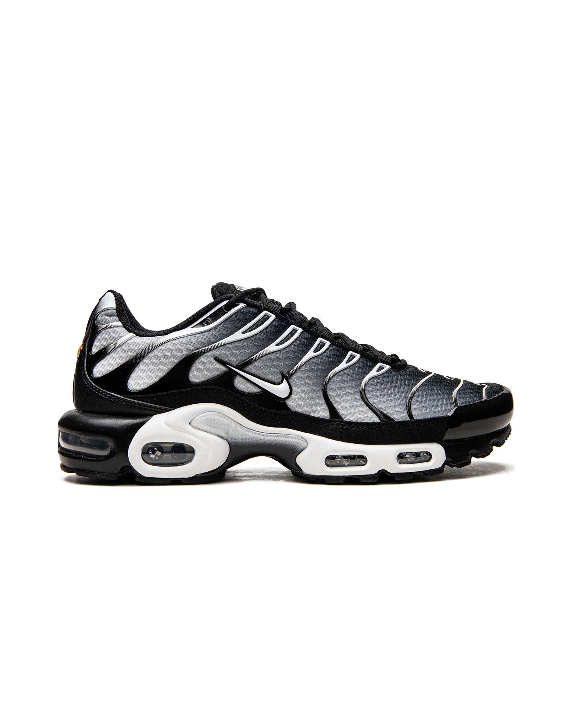 Nike Air Max Plus Black Silver White