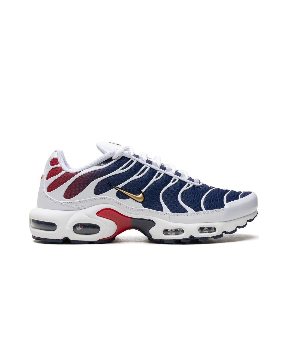 Nike Air Max Plus PSG
