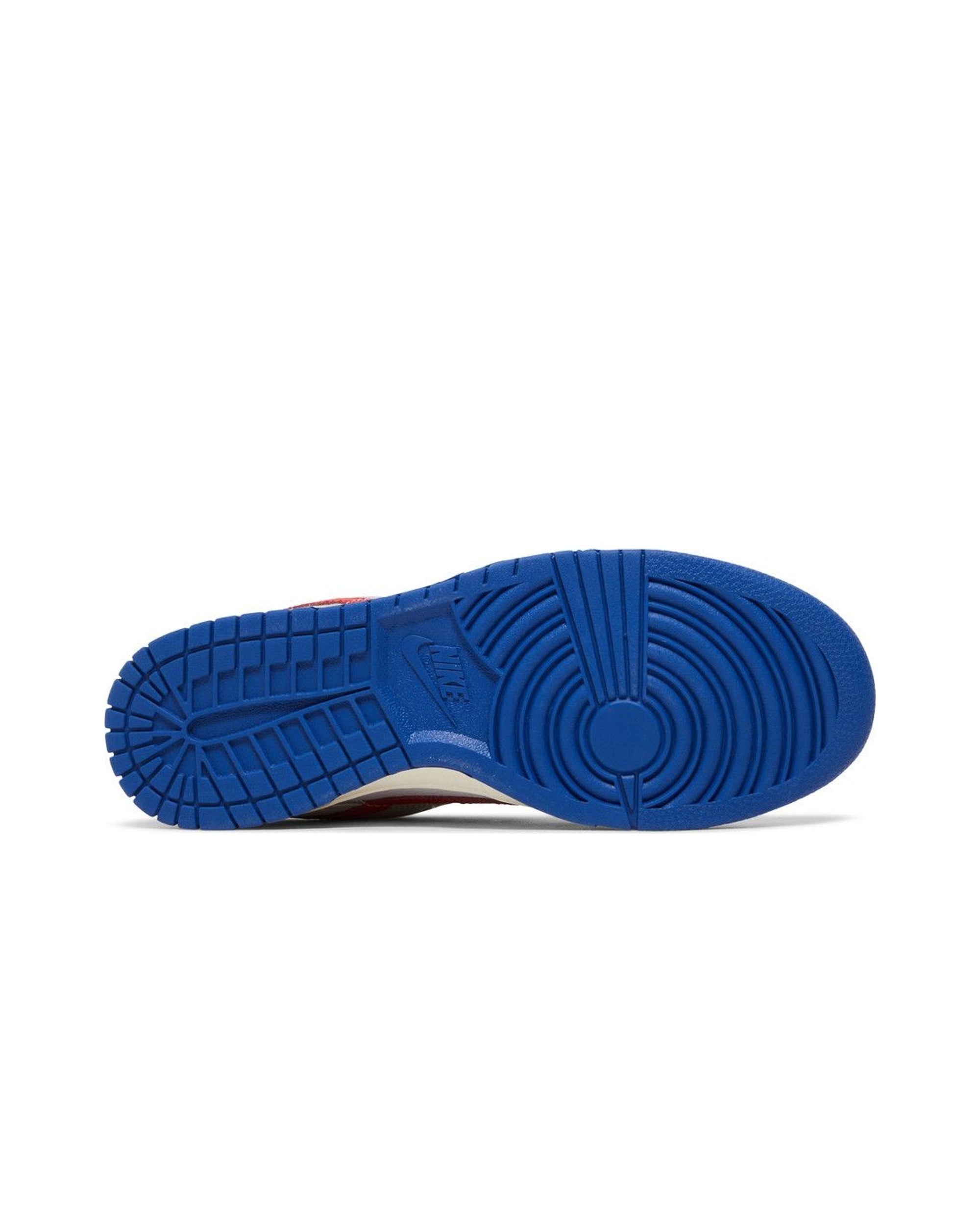 Nike Dunk Low Light Iron Ore Red Blue