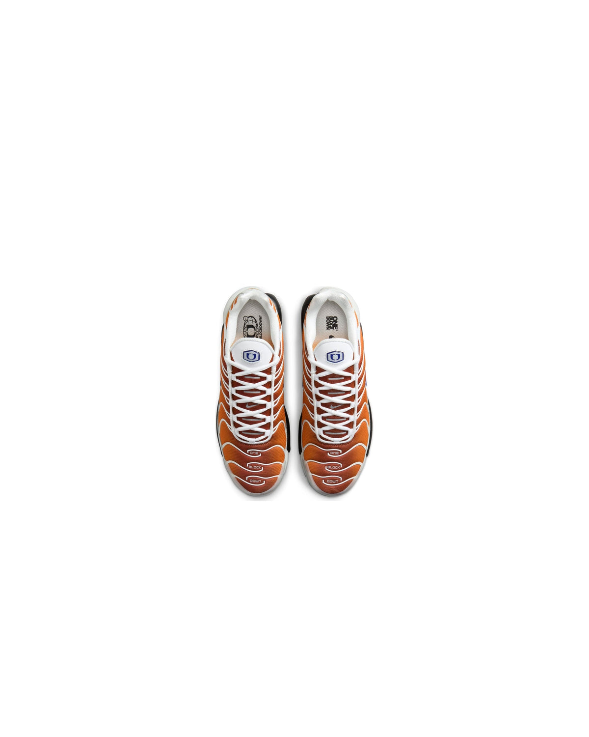 Nike Air Max Plus One Block Down Chutney